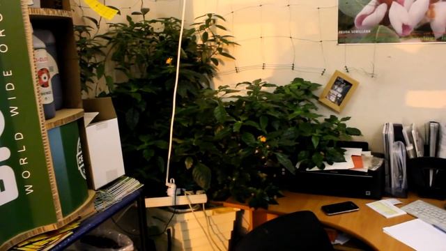 Гидропоника и аквариум(Часть 1) смотреть онлайн