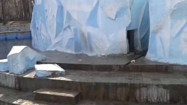 Новосибирск, мишки в зоопарке смотреть онлайн