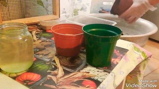 Как приготовить почвосмесь для рассады?!В деревню за землёй. Начало сезона... смотреть онлайн