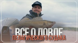 Ловля пелагического судака от А до Я