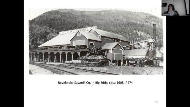 Scandinavian Community - Brown Bag History смотреть онлайн