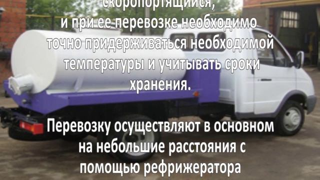 Перевозка рыбы. Бизнес идея смотреть онлайн