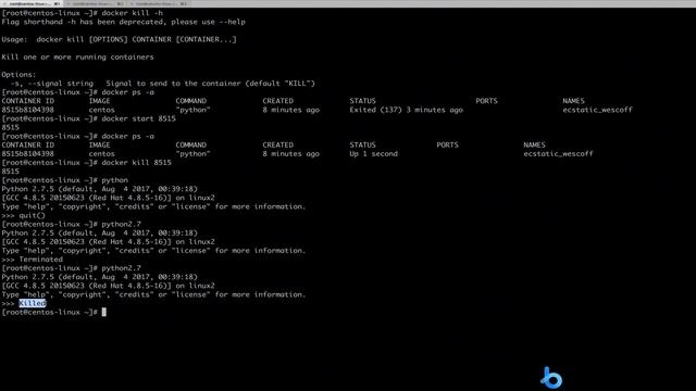 13 Docker生命周期管理之容器终止docker kill смотреть онлайн