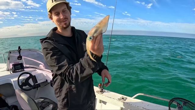 Another Windy PERTH Sunrise.. Boat fishing the Beach | Catch & MAGIC cook смотреть онлайн