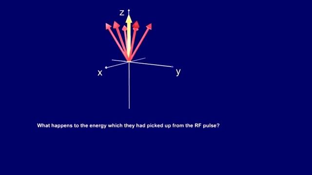 Longitudinal Relaxation | T1 Curve