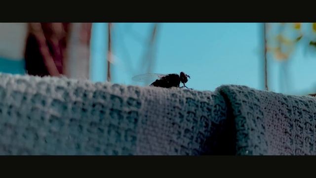 Canon M50 Mark II Cinematic Video Sample Test смотреть онлайн