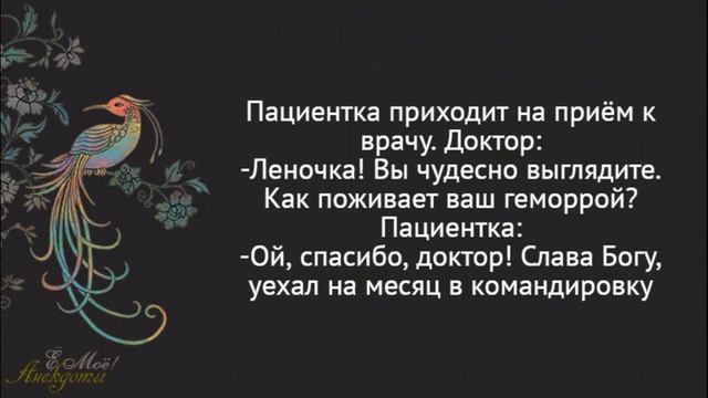 Я всю ночь любовью занимался! Смешные анекдоты смотреть онлайн