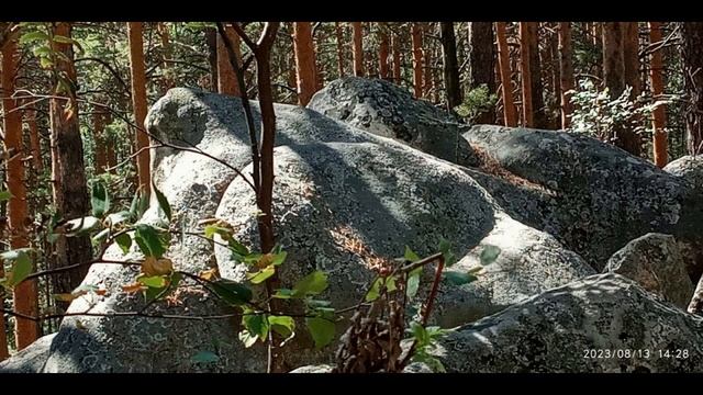 Неожиданная поездка на камни старого Московского тракта 13 августа 2023 г. смотреть онлайн