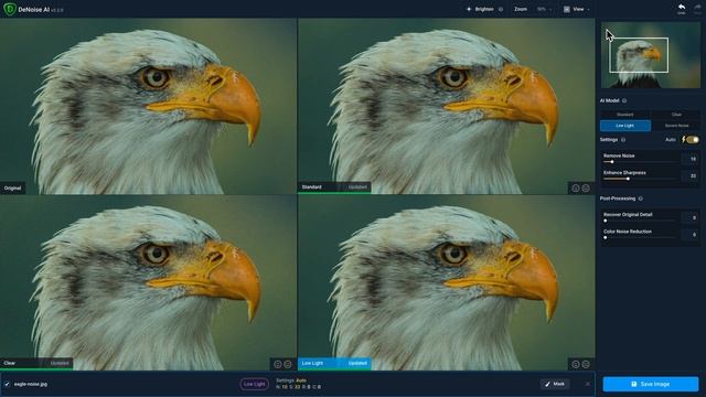 Introduction To Topaz DeNoise AI