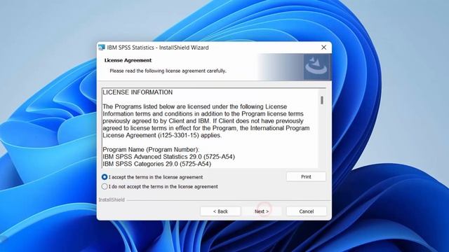 IBM SPSS 29 Installation for Windows by Hearne Software смотреть онлайн