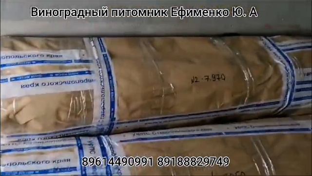 Саженцы винограда Почтой России смотреть онлайн