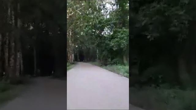 Барнаул - мизюлинская роща смотреть онлайн