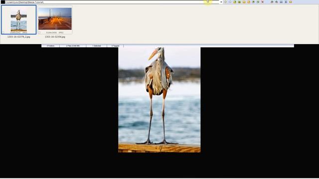 Resize images with Faststone Image Viewer смотреть онлайн