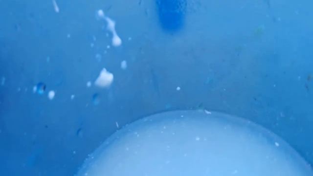 How to use expired yogurt in garden |Magic use of curd for plant | Homemade fertilizer for plant смотреть онлайн