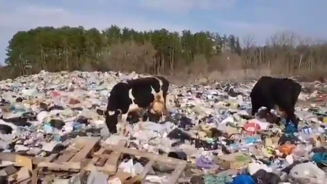 Национальный природный парк в Самарской области смотреть онлайн