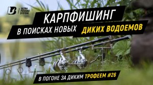 Ловля карпа. В поисках новых диких водоемов. В погоне за диким трофеем #26.