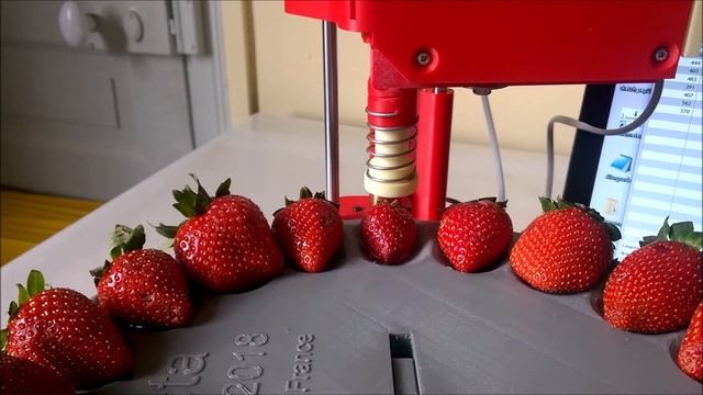 Multi fruit turntable penetrometer by Agrosta смотреть онлайн