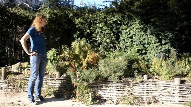 Что растет в парижских цветниках смотреть онлайн