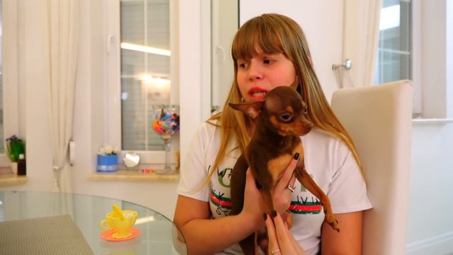 Дана выбирает профессию и Делаем макияж для Дианы смотреть онлайн