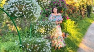 Липкие листья у петунии? жучки на листьях? Тля?  Как бороться?