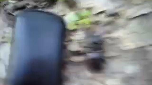 Жук Олень смотреть онлайн