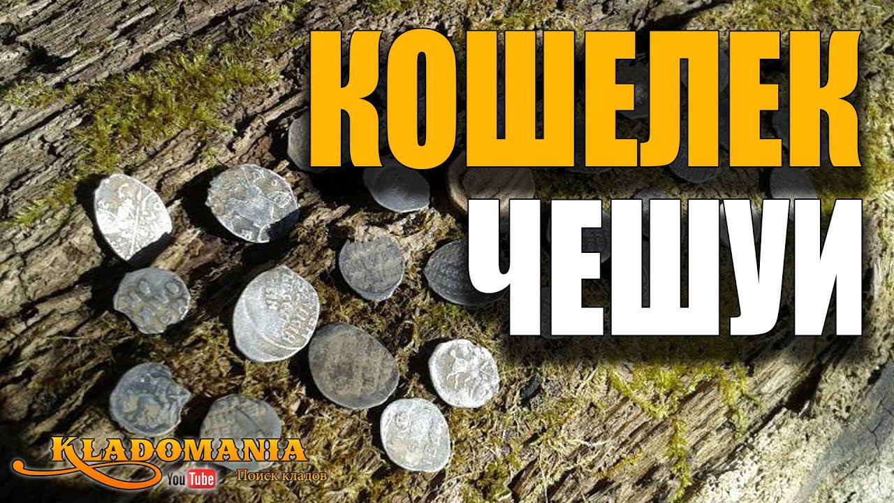 КОШЕЛЕК ЧЕШУИ в лесу Камрад нашел кошелек чешуи весной в лесу смотреть онлайн