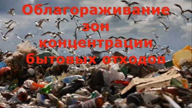 Целлюлозная мульча для гидропосева