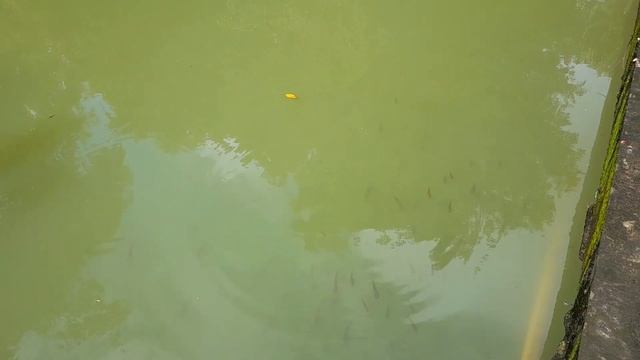 водоем смотреть онлайн