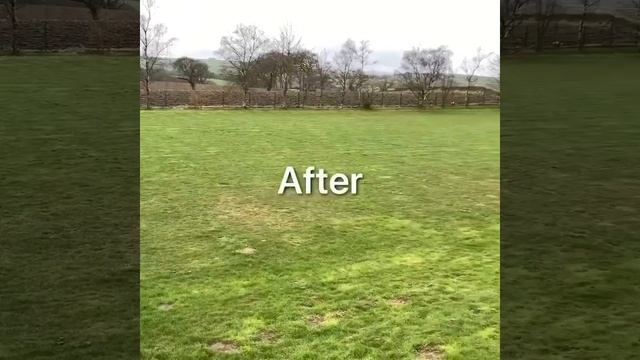 Mole Control on School Field смотреть онлайн