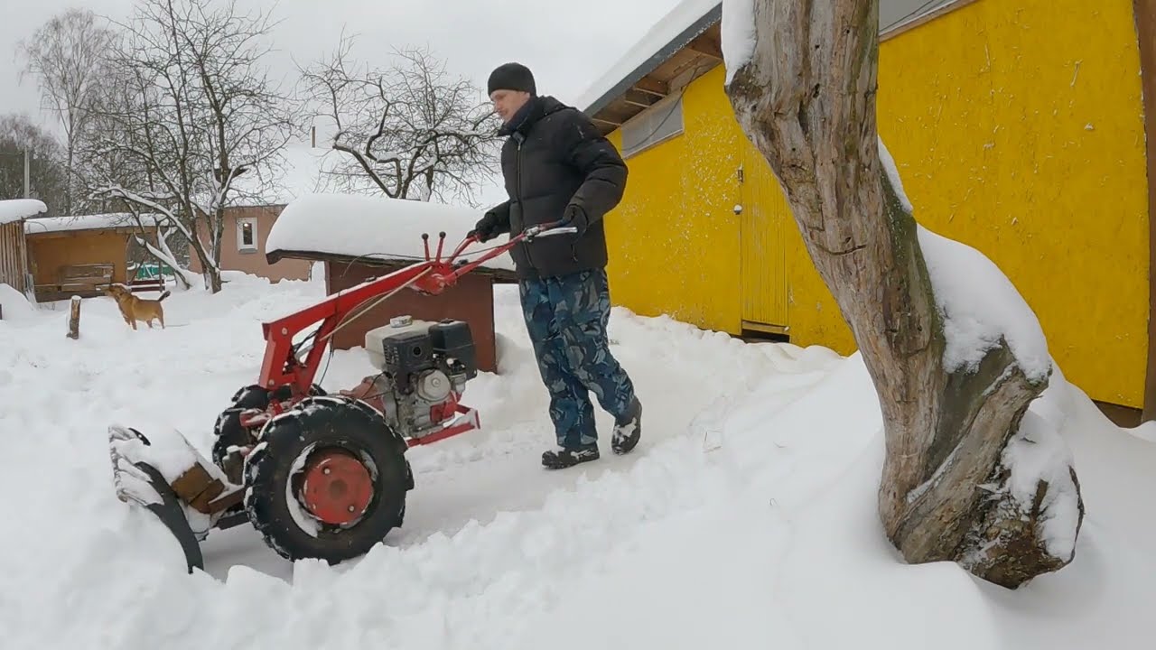 По паспорту "Пестрянка", откапываюсь каждый день, двинулись дела в пристройке! Жизнь в деревне! смотреть онлайн