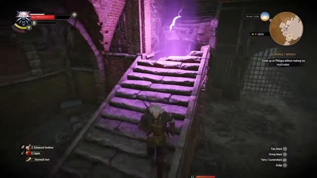 The Witcher 3: Wild Hunt game breaking bug смотреть онлайн
