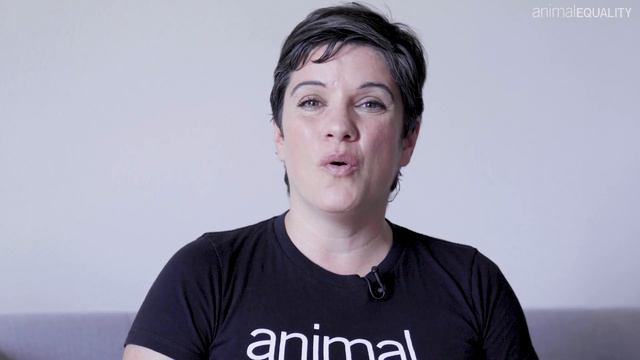 A Message From Animal Equality's President | Double Your Impact For Animals смотреть онлайн