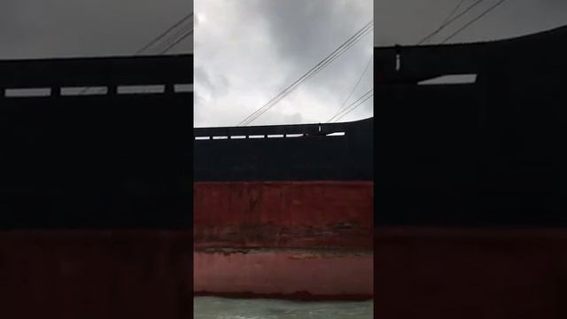 Сухогруз Рио выбросило на берег Чёрного моря во время шторма рядом с Геленджиком