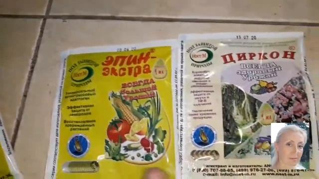 ?Фикус Эректа(Аспер?) и Румфи с белой вариегатностью/мои новинки 2020года смотреть онлайн