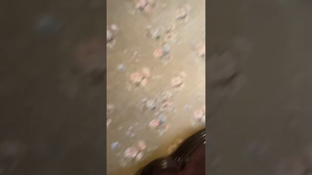 3х комнатная квартира Москва Братиславская 10 смотреть онлайн