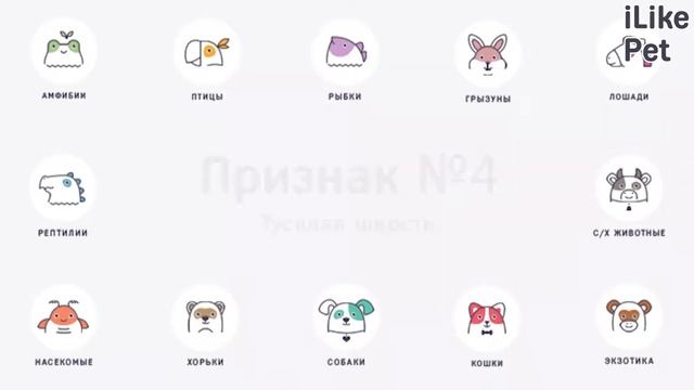 7 признаков, что вашей собаке пора сменить корм смотреть онлайн