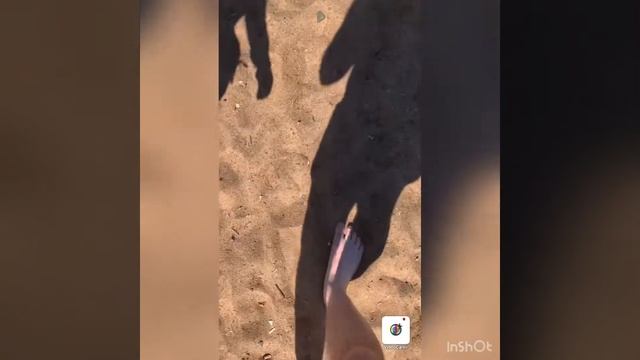Сестрорецк.Дубки.Финский залив.26.06.2022 год открытие сезона! смотреть онлайн
