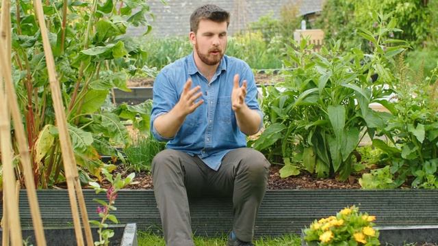 Вам БОЛЬШЕ НИКОГДА не придется покупать семена для этих 9 культур!