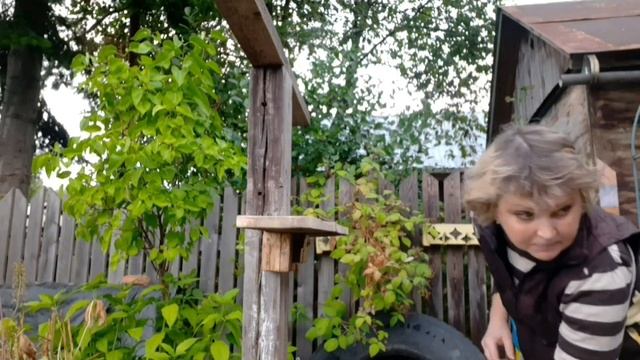 Посевной календарь на Март-Апрель 2023 года. Для Приволжского округа, Урала и Западной Сибири. смотреть онлайн