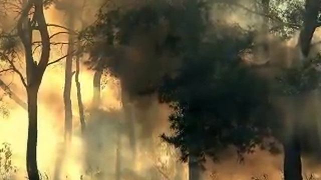 Просто июль смотреть онлайн