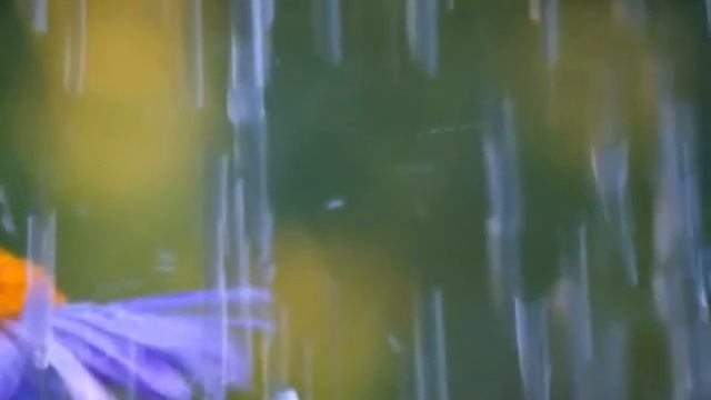 Ирина Круг "Где ты........." смотреть онлайн