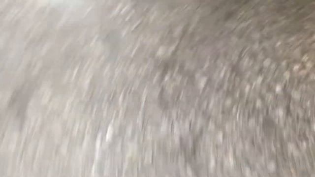 Разборка Audi - A6 (C5) 1997-2004, 2.5 TDI (VIN: WAUZZZ4B43N108137) 68626 смотреть онлайн