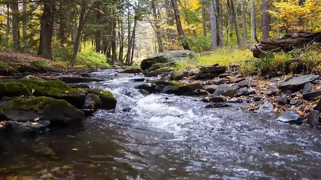 Сборник красивой инструментальной музыки для души /The Best music смотреть онлайн