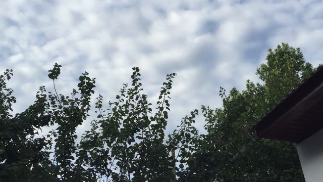 Больничка смотреть онлайн