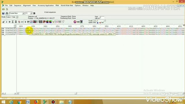 How to work with BioEdit sequence alignment editor смотреть онлайн