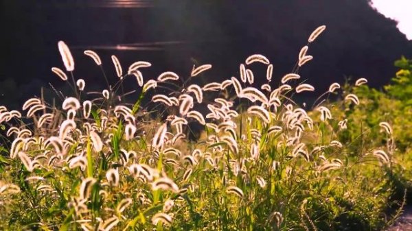 Music to help you fall asleep, Deep Sleep.