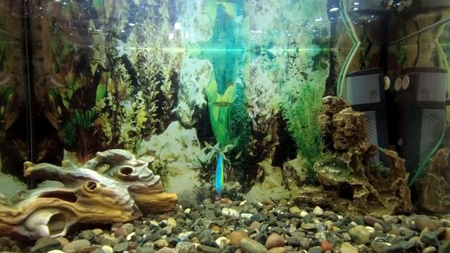 Обзор ратлинов на которые ловлю щуку зимой смотреть онлайн