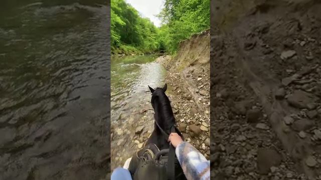 Конная прогулка смотреть онлайн
