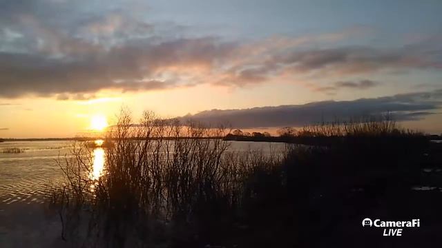 рассвет на реке смотреть онлайн