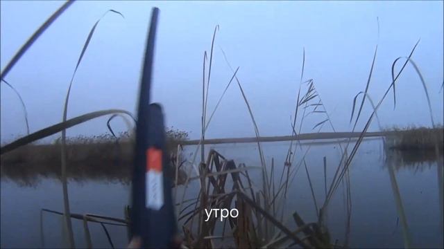 Осень охота на утку 11 ноябрь 2017 г duck hunting смотреть онлайн